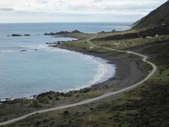 Looking back from Cape Palliser