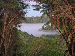 Morning mist, Taranaki