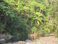 Waipoua River