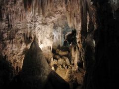 Waitomo limestone caves