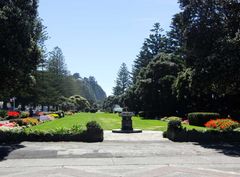 Napier gardens