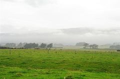 Misty farmlands